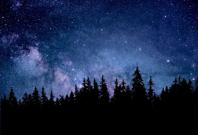 Constellation Courses
