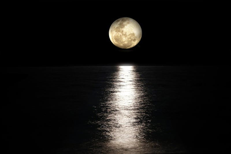 Moonbeam Fashion